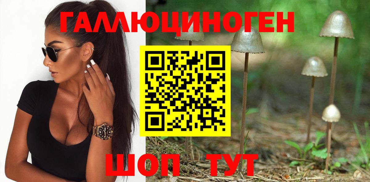Галлюциногенные грибы MAGIC MUSHROOMS Балтийск