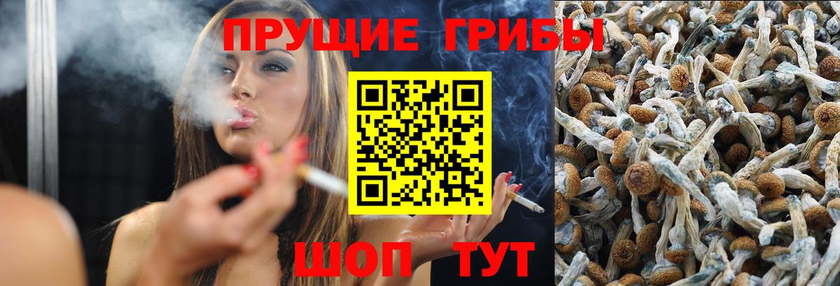 Балтийск  Псилоцибиновые грибы Magic Shrooms  Вход с VPN  Галлюциногенные грибы прущие грибы 